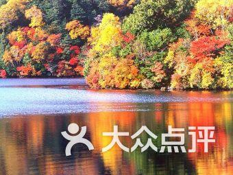 洛克王国