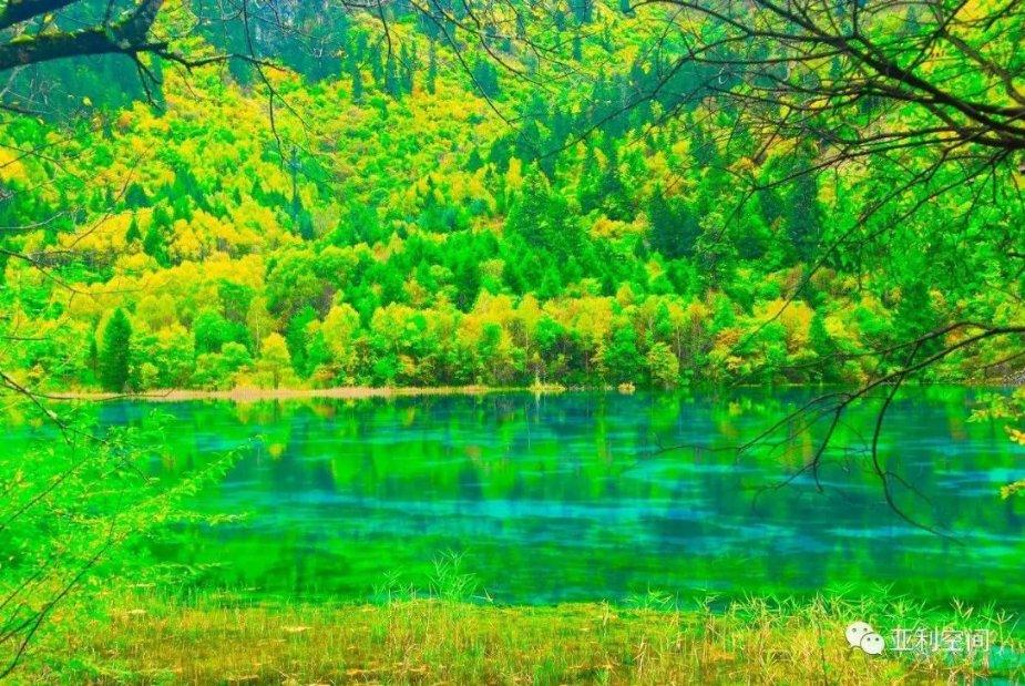异地恋男朋友对自己越来越冷淡怎么办?异地恋感情淡了怎么维持?-问题是思维的起点