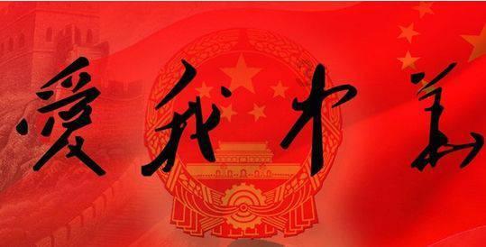 可爱小猫向上跳