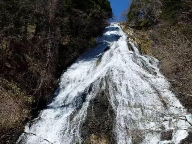 组装机械章鱼龙